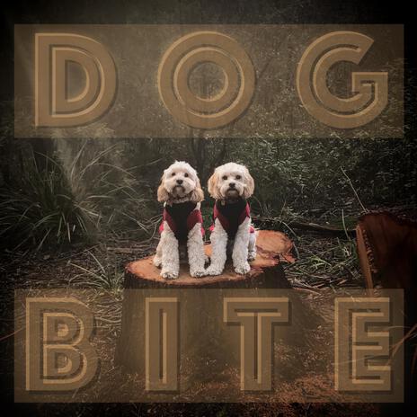 Dog Bite | Boomplay Music