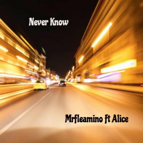 Never Know ft. Alice