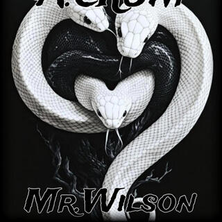 Mr.Wilson