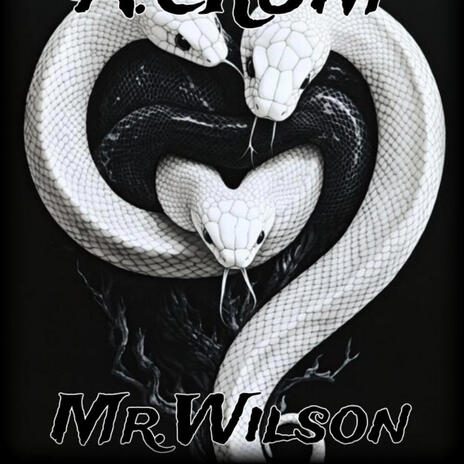 Mr.Wilson | Boomplay Music