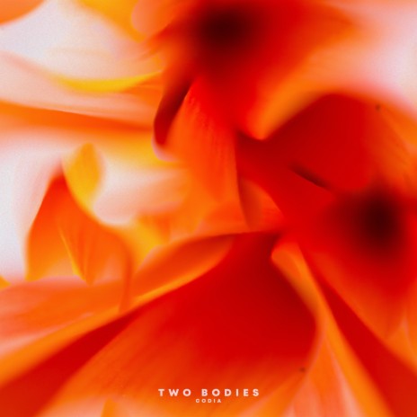 Two Bodies | Boomplay Music