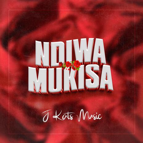 Ndiwamukisa | Boomplay Music