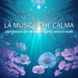 La musica che calma: Suoni rilassanti per rallentare il respiro e calmare la mente