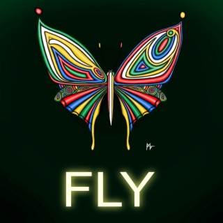 Fly