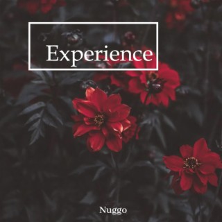 Experience