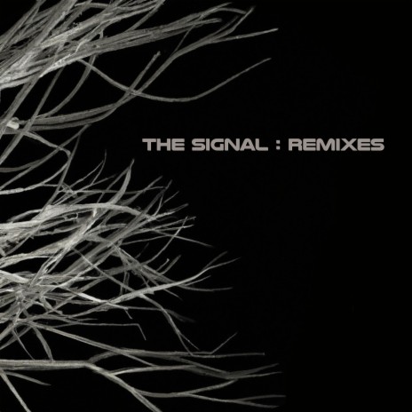 The Signal (woofa kid Remix) ft. Josspoop, Diemarcha & Jojo Mue