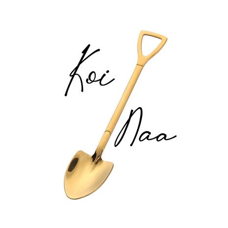 Koi Naa ft. Anupam kumar | Boomplay Music