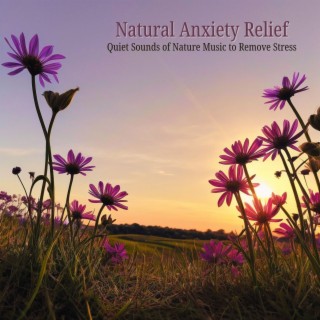 Natural Anxiety Relief: Quiet Sounds of Nature Music to Remove Stress