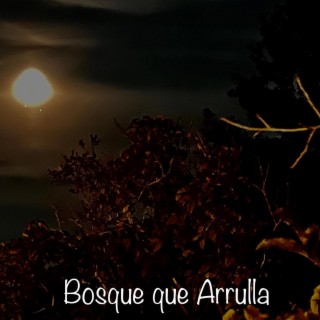 Bosque que Arrulla