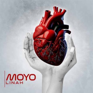 Moyo lyrics | Boomplay Music