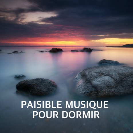 Réflexions Nocturnes | Boomplay Music