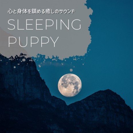 Sleeping in the Air | Boomplay Music