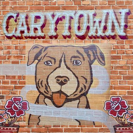 Carytown | Boomplay Music