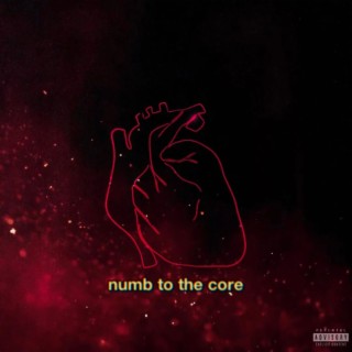 Numb to the Core lyrics | Boomplay Music