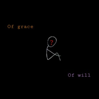 Of Grace Of Will? (Studio album)
