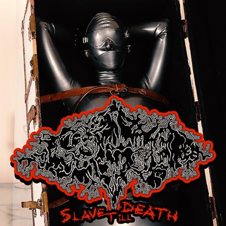 SLAVE TILL DEATH | Boomplay Music