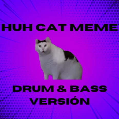 huh Cat meme - DRUM & BASS versión
