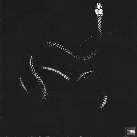 Snakes | Boomplay Music