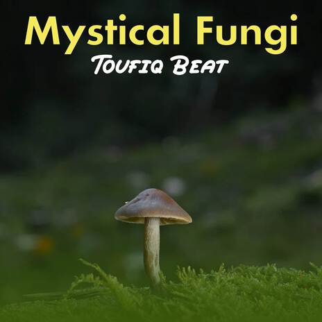 Mystical Fungi | Boomplay Music