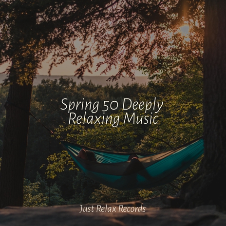 Harmonious Deluge of Joy ft. Spa Relaxation & Spa & Music For Absolute Sleep | Boomplay Music