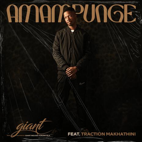 Amampunge ft. Traction Makhathini | Boomplay Music