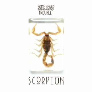Scorpion lyrics | Boomplay Music