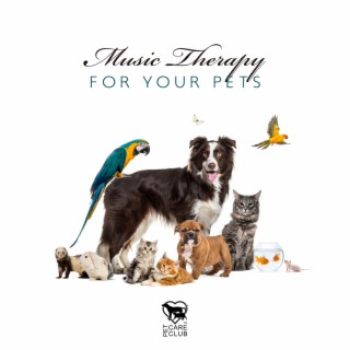 Music Therapy for Your Pets: Soft Music for Animal Stress and Anxiety Relief ,Relaxation Music for Dogs and Cats