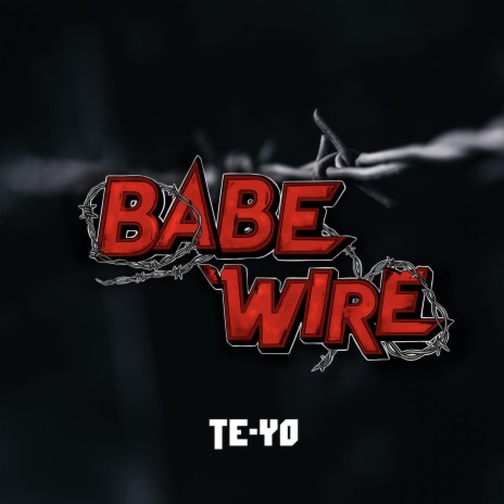 Babewire 2024 ft. Selskapet | Boomplay Music