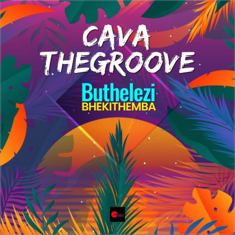 Cava the Groove | Boomplay Music