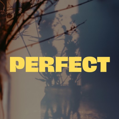 Perfect (Single) | Boomplay Music