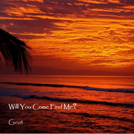 Will You Come Find Me | Boomplay Music