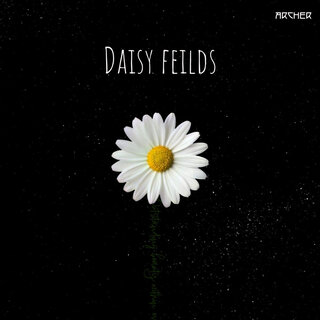 Daisy fields