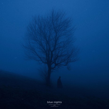 blue nights (Slowed + Reverb) ft. fulleyes