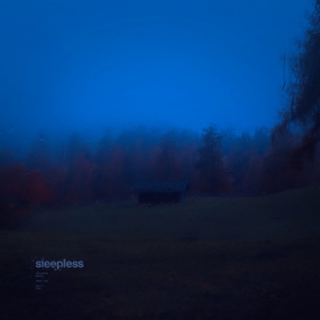 sleepless (Slowed + Reverb) | Boomplay Music
