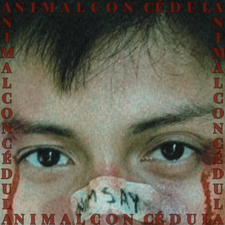 Animal con cédula | Boomplay Music