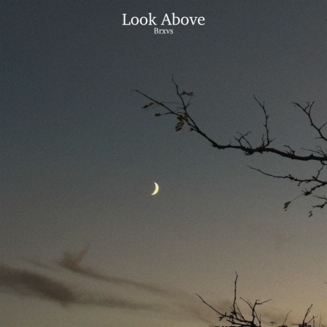 Look Above | Boomplay Music