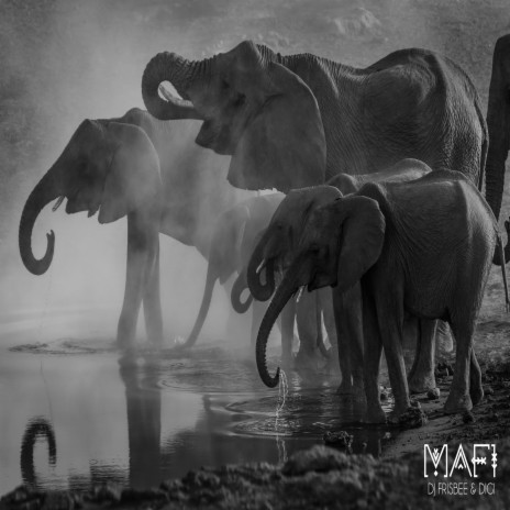 Mafi ft. DiGi | Boomplay Music