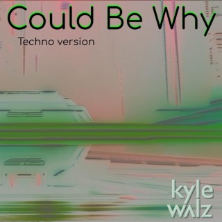 Could Be Why (Techno Version)