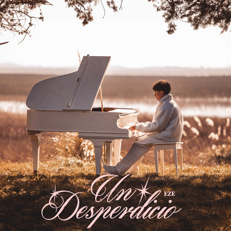 Un Desperdicio | Boomplay Music