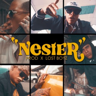 Nester