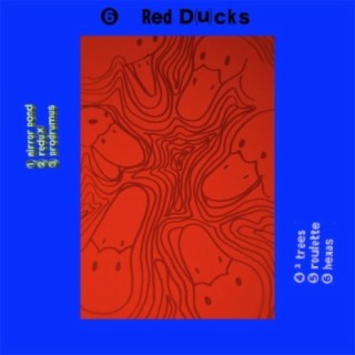 6 red ducks