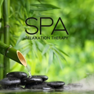 Spa Relaxation Therapy: Remove All The Physical & Mental Pain