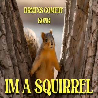 I'm a Squirrel / Comedy Song