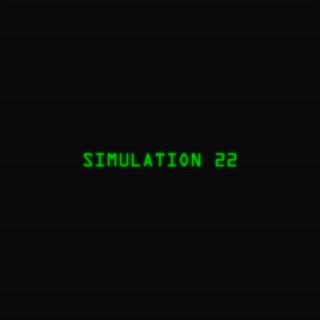 Simulation 22
