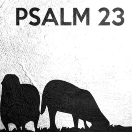 Psalmul 23 | Boomplay Music