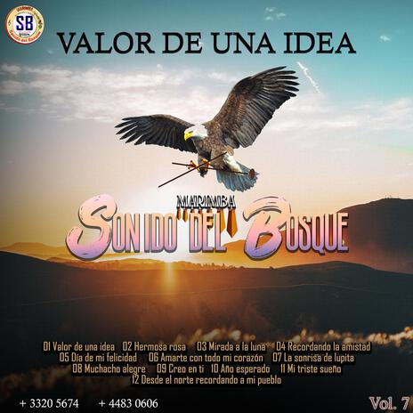 Valor de una Idea | Boomplay Music