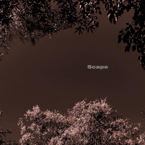 Scape | Boomplay Music