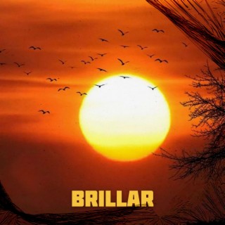 Brillar