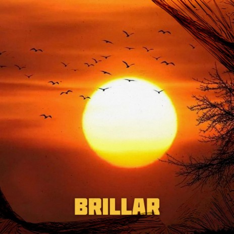 Brillar ft. Sog | Boomplay Music