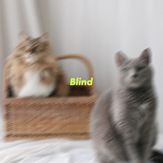 Blind